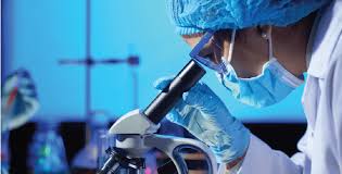 Maharashtra State Board